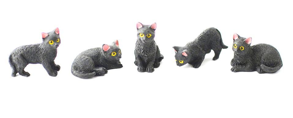 Black Cats Pack of 5 Assorted for 12th Scale Dolls House