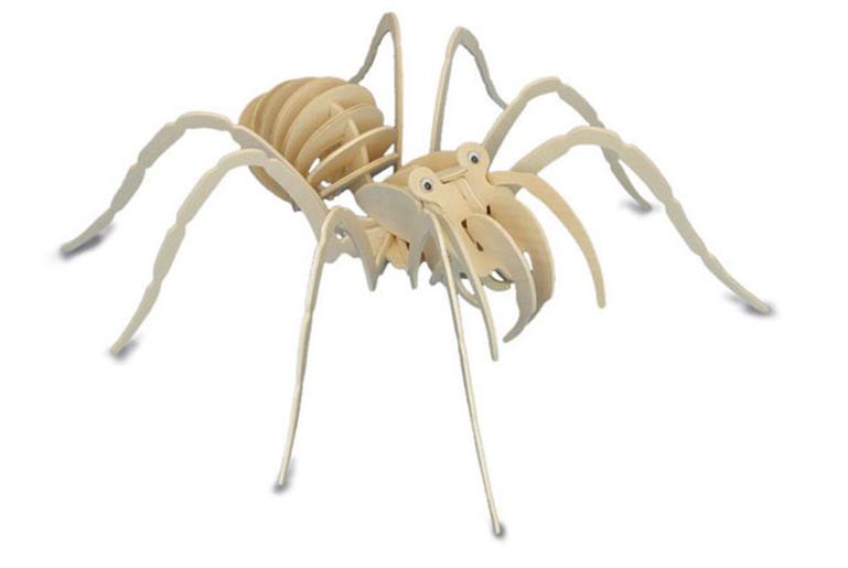 Quay Tarantula Wooden Model Kit