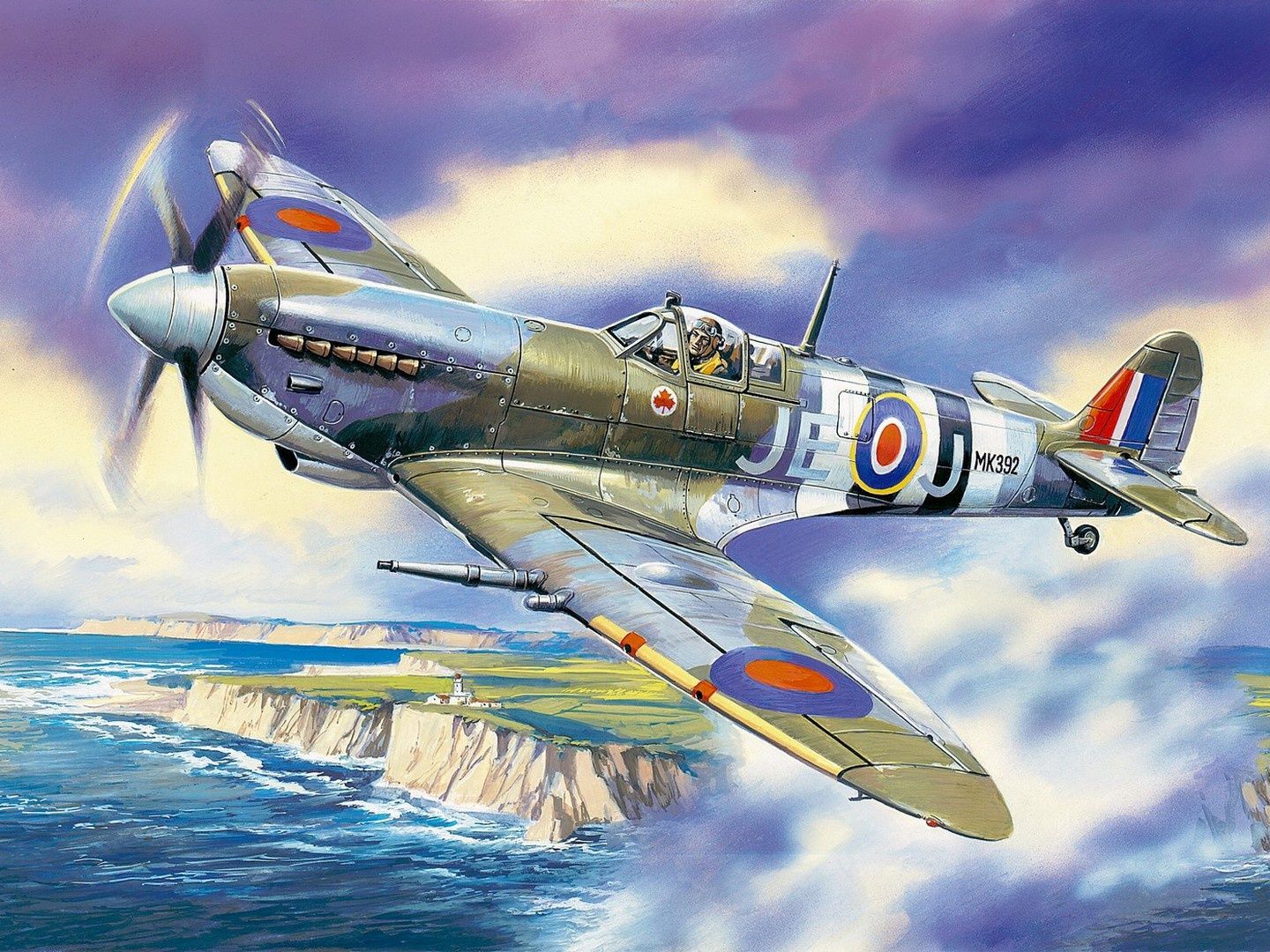 ICM 1/48 Scale Spitfire Mk.IX, WWII British Fighter Plane Model Kit