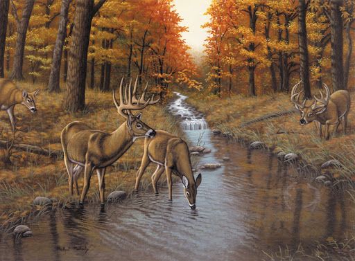 Painting By Numbers Symonds Creek