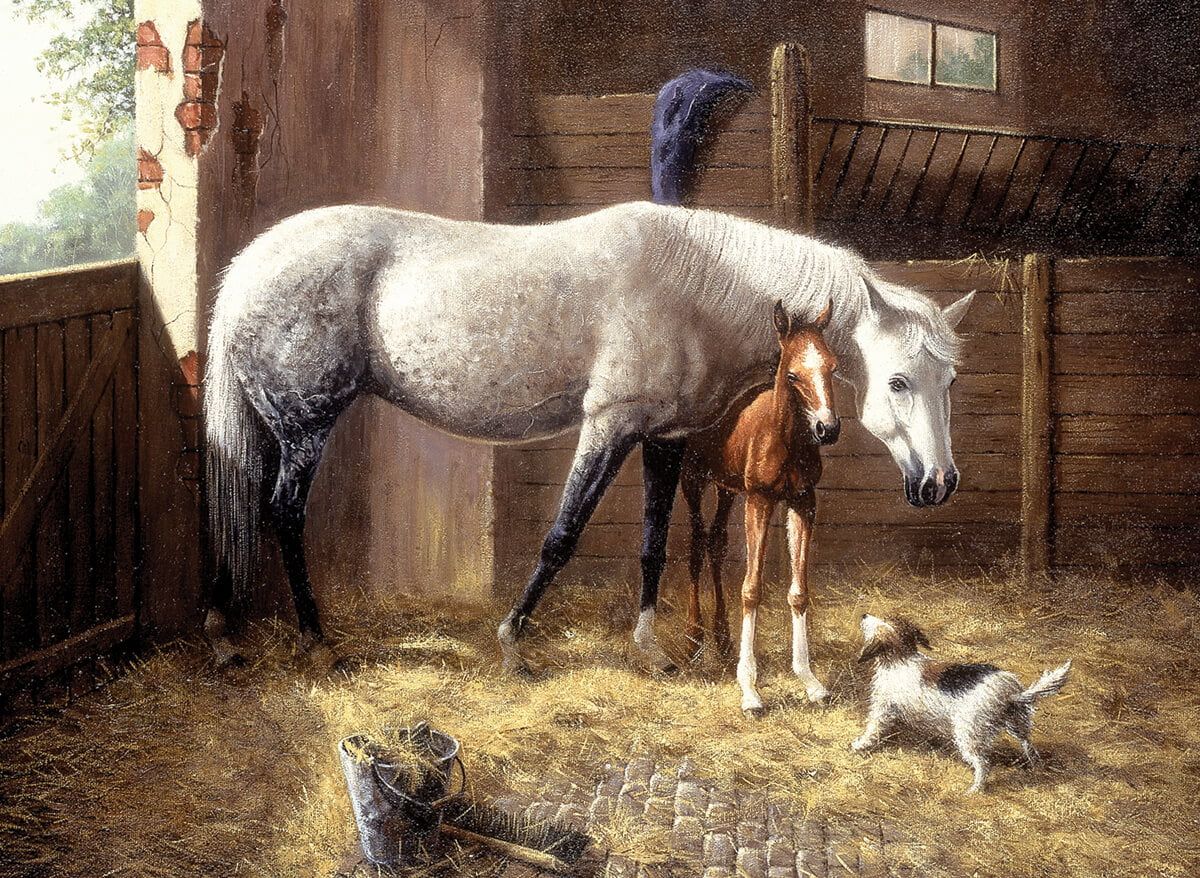 Painting By Numbers New Friends