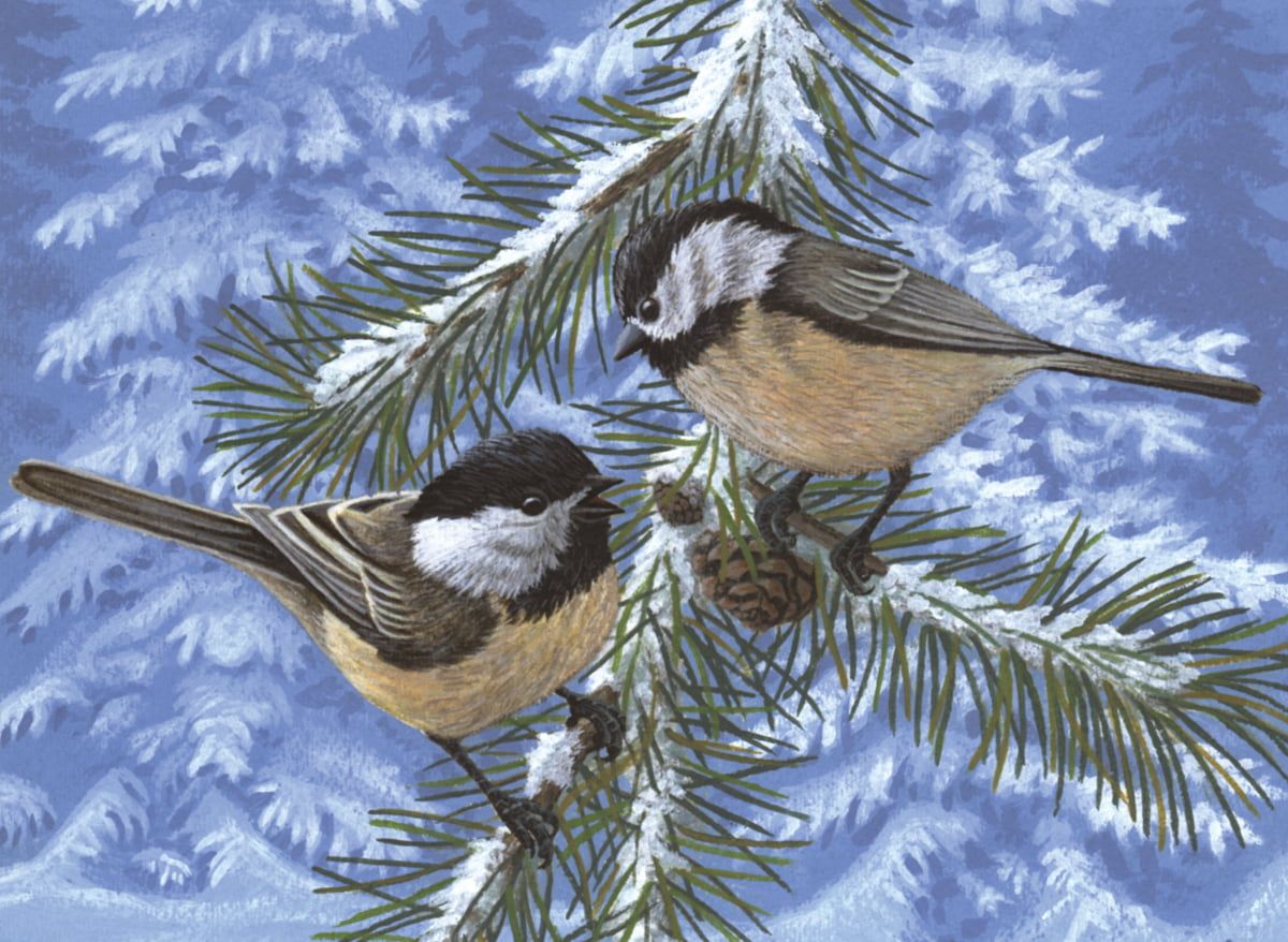 Painting By Numbers Pine Birds