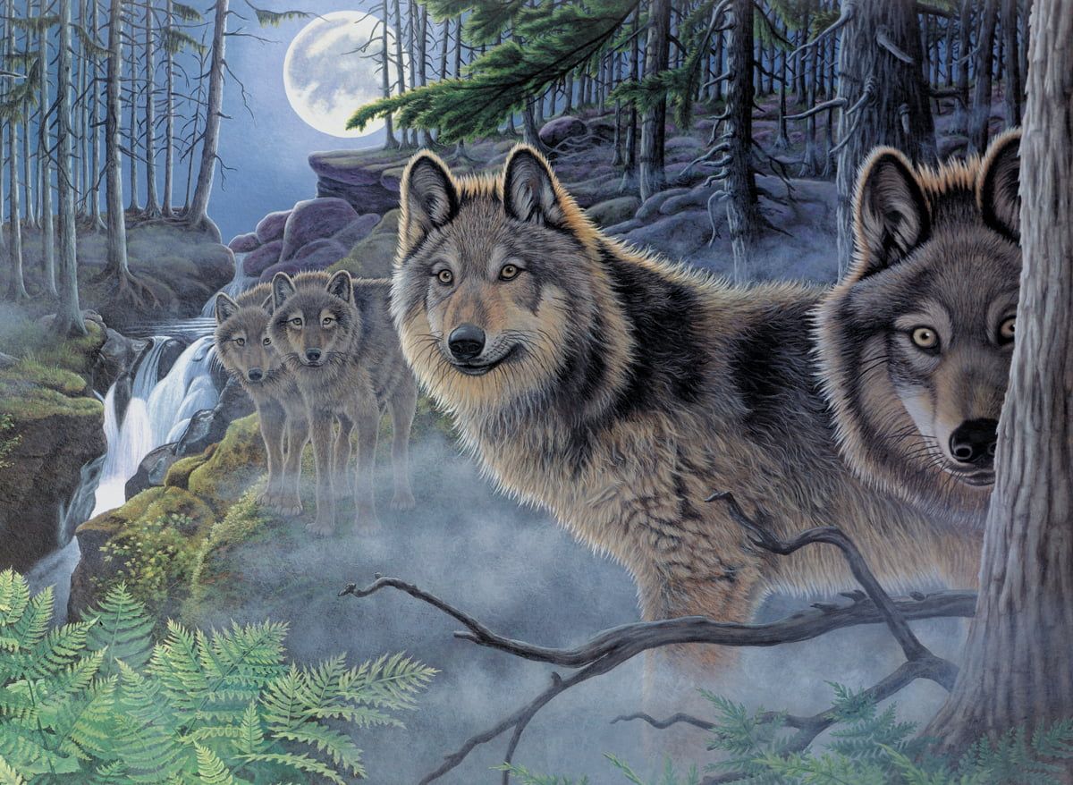 Painting By Numbers Mystical Moonlight