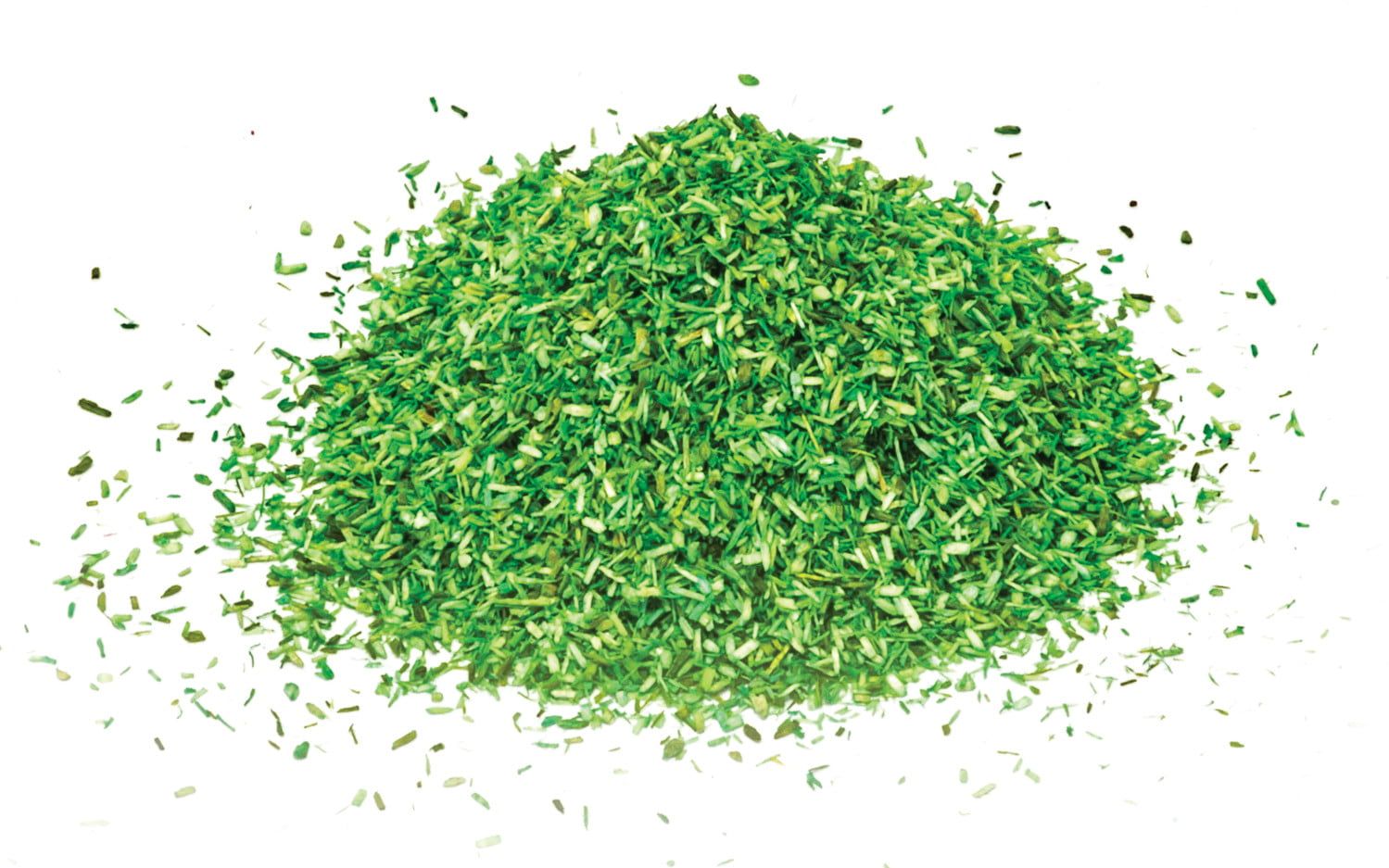 Hornby Scatter - Medium Green OO Gauge