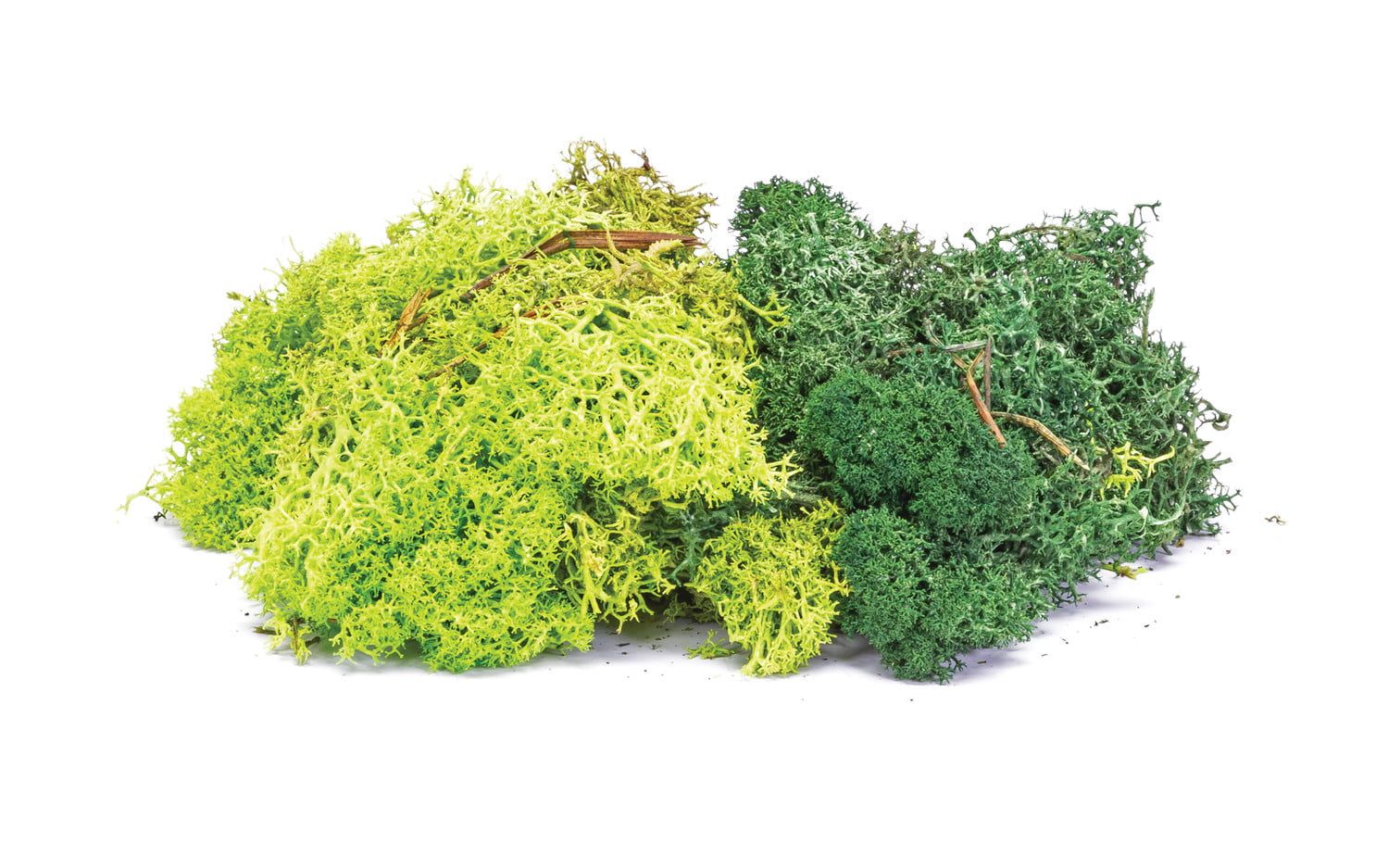 Hornby Lichen - Green Mix OO Gauge