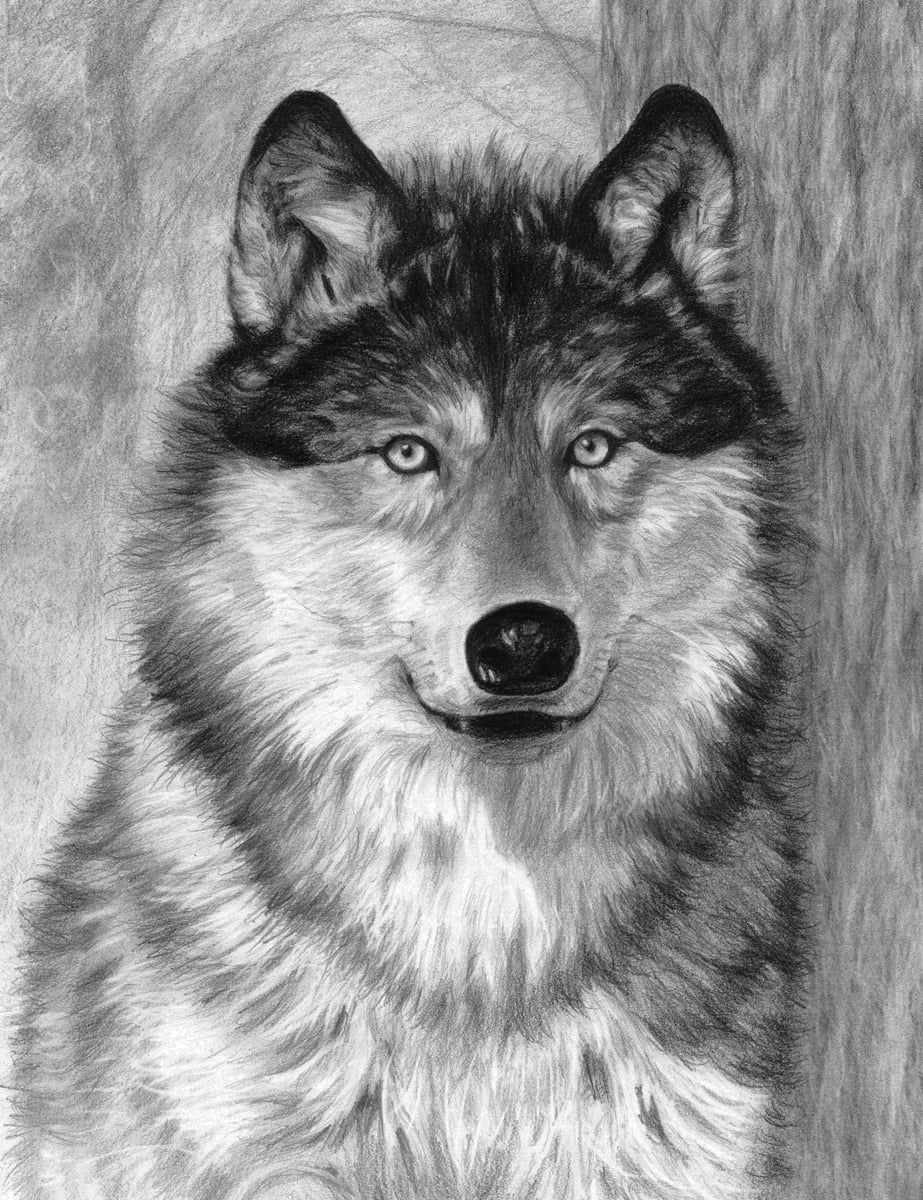 Sketching Made Easy Alpha