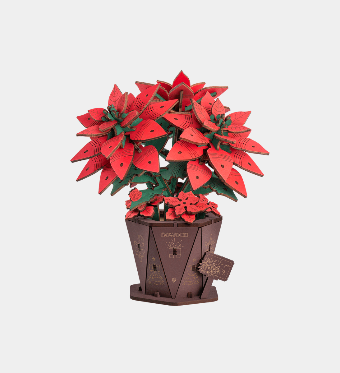 Rowood Poinsettia Wooden Model Kit