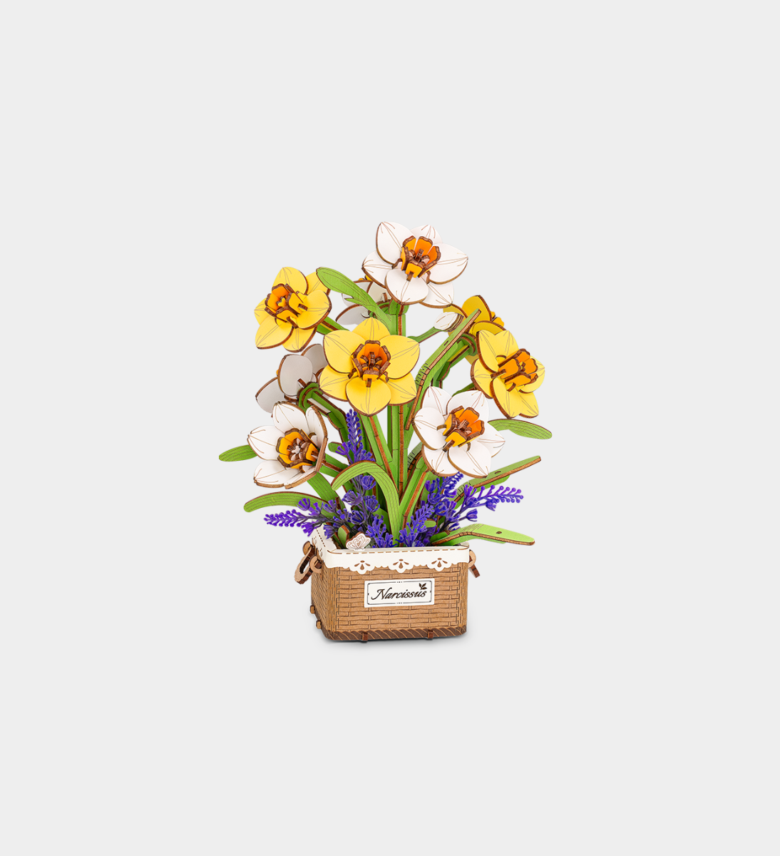 Rowood Narcissus Wooden Model Kit