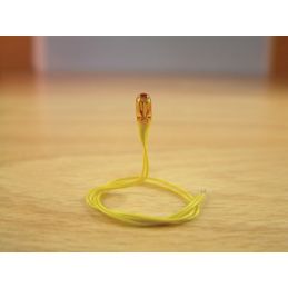 Expo Coloured 12 volt Grain of Wheat bulb, pack of 10