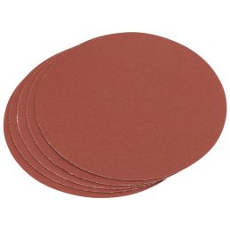 5 X Replacement Disc 100 Grit