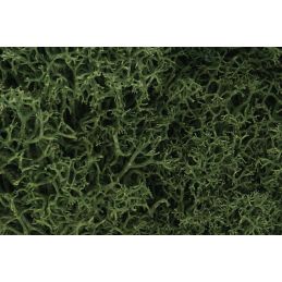 Woodland Scenics Medium Green Lichen