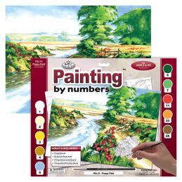 Painting By Numbers Poppy Field