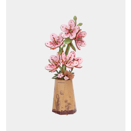 Rowood Sakura Wooden Model Kit