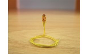 Expo Coloured 12 volt Grain of Wheat bulb, pack of 10