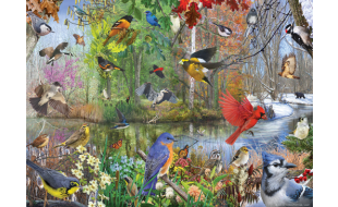 Cobble Hill birds Of The Season 1000 Piece Jigsaw