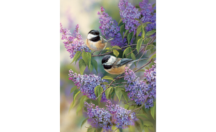 Cobble Hill Chickadees and Lilacs 1000 Piece Jigsaw