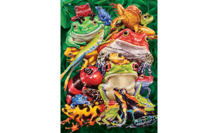 Cobble Hill Frog Business 1000 Piece Jigsaw