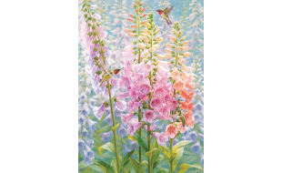 Cobble Hill Summer Rainbow 500 Piece Jigsaw