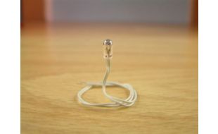 Expo Clear 6 volt Grain of Wheat bulb, pack of 10