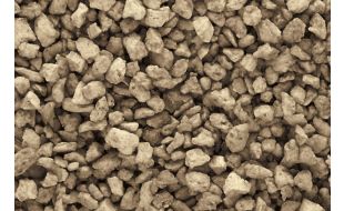 Medium Brown Talus