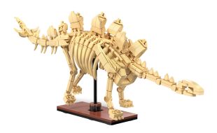 CaDa Stegosaurus Dinosaur Fossil Brick Model Kit
