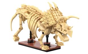 CaDa Triceratops Dinosaur Fossil Brick Model Kit