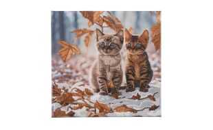 Craft Buddy "Autumn Kittens" Crystal Art Canvas Kit