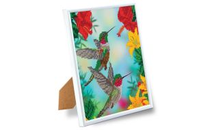 Craft Buddy "Hungry Hummingbirds" Crystal Art Framed Kit