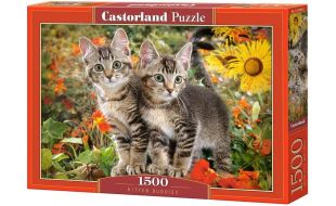 Castorland Kitten Buddies 1500 Piece Jigsaw