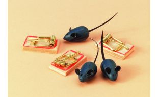 Three Mice and Mouse Traps for 12th Scale Dolls House