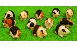 12 Assorted Guinea Pigs for 12th Scale Dolls House