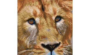 Diamond Dotz Serengeti Magic Diamond Painting Kit