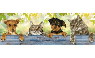 Diamond Dotz Hang In There Diamond Painting Kit