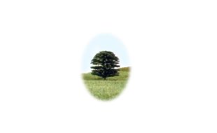 Peco Single Tree - 25mm