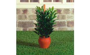 Plant in Terracotta Pot for 12th Scale Dolls House