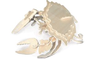 Quay Crab Wooden Model Kit