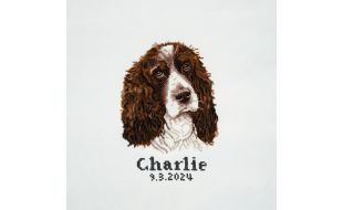 Trimits Cross Stitch Springer Spaniel Kit