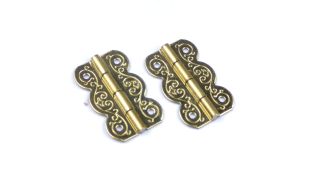 19mm Fancy Hinges