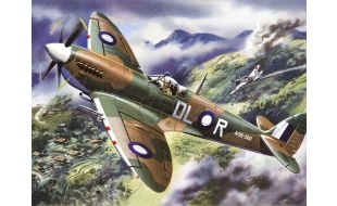 ICM 1/48 Scale Spitfire Mk.VIII, WWII British Fighter Plane Model Kit
