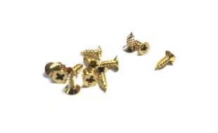 Small Brass Screws - 6mm Long X 2mm Dia (12)