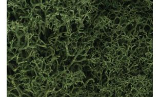 Woodland Scenics Medium Green Lichen