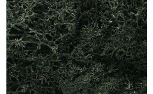 Woodland Scenics Dark Green Lichen