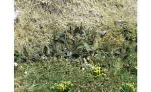 Scale Model Scenery Green Bracken / Fern Plants (Pack of 32) OO Gauge