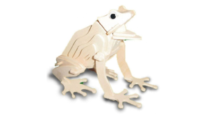 Quay Frog Wooden Model Kit