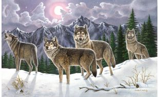 Painting By Numbers Wolves