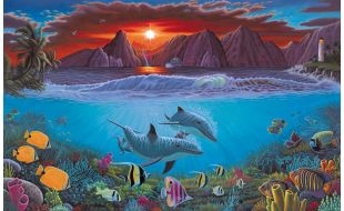 Painting By Numbers Ocean Life