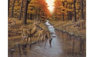 Painting By Numbers Symonds Creek