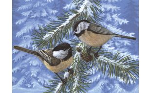 Painting By Numbers Pine Birds