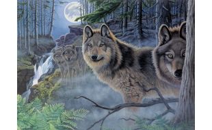 Painting By Numbers Mystical Moonlight