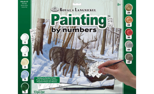 Painting By Numbers Winter Bliss